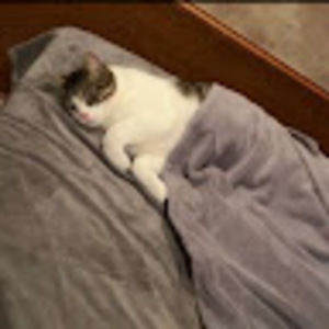 Meet your Posher, Lela